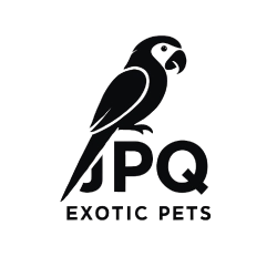 PHOTO-2025-11-18-03-47-54-removebg-preview